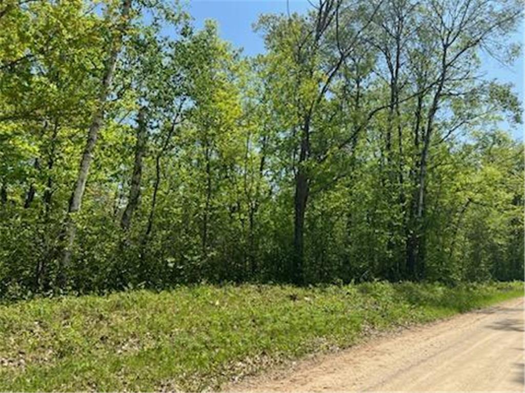 TBD Onigum Road, Walker, MN, 56484 MLS 6377716 Edina Realty