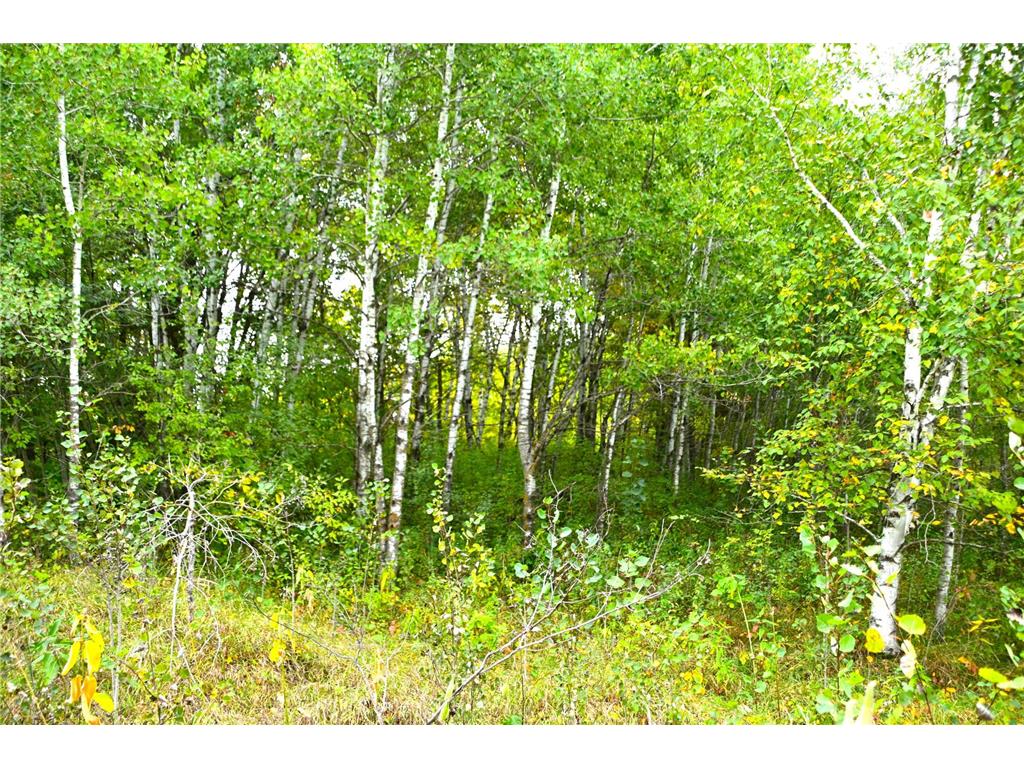 TBD Oriole Court Moran Twp MN 56438 - Fawn 7019655 image11