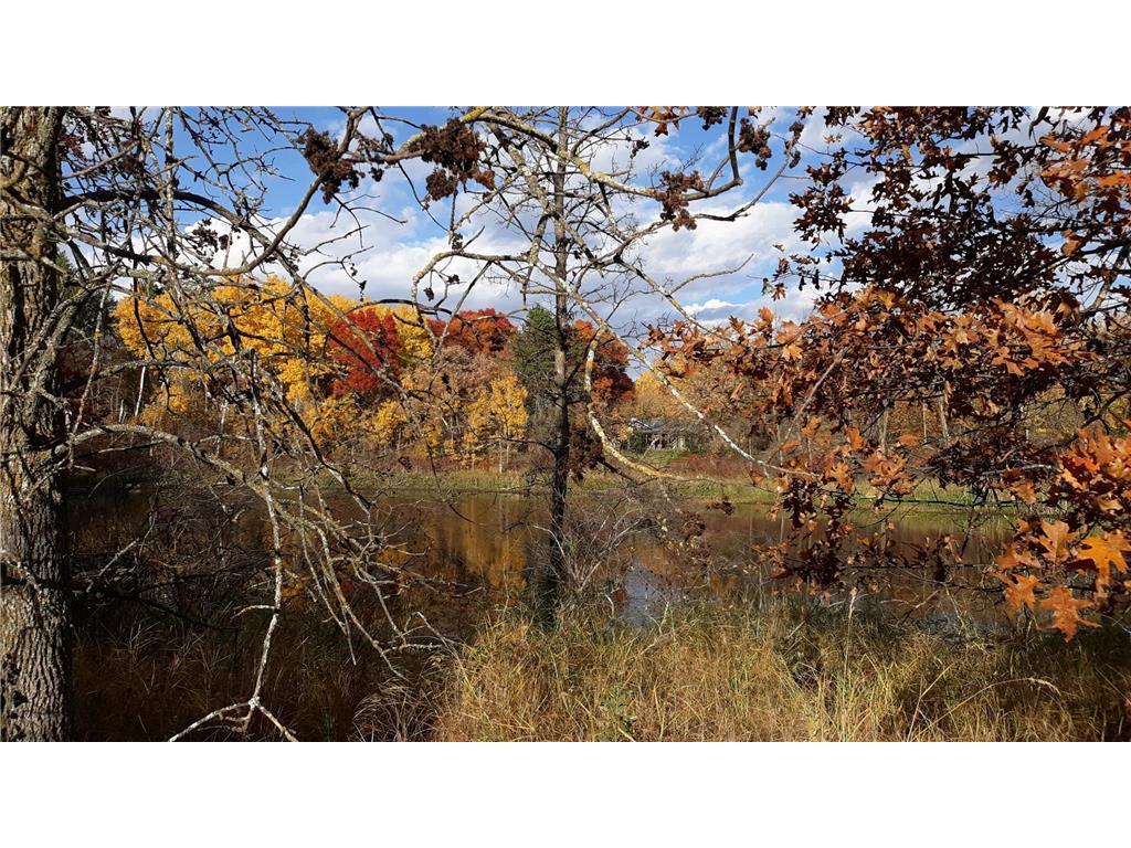 TBD Oriole Court Moran Twp MN 56438 - Fawn 7019655 image3