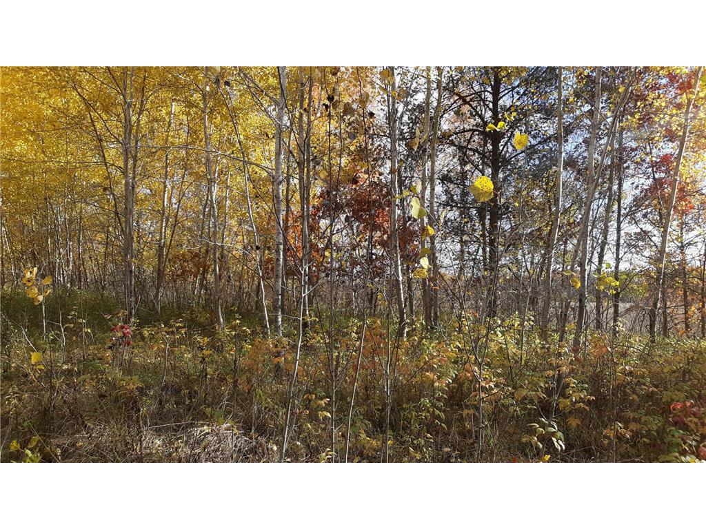 TBD Oriole Court Moran Twp MN 56438 - Fawn 7019655 image6