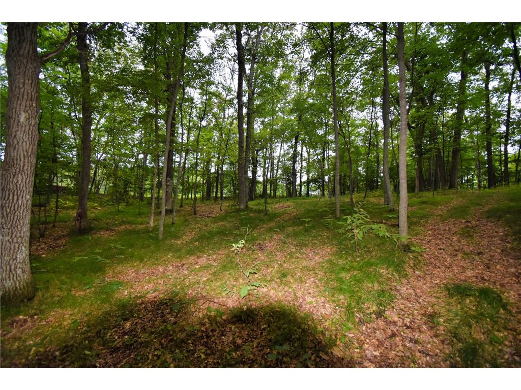 TBD Osceola Circle Breezy Point MN 56472 - Pelican 6591189 image1