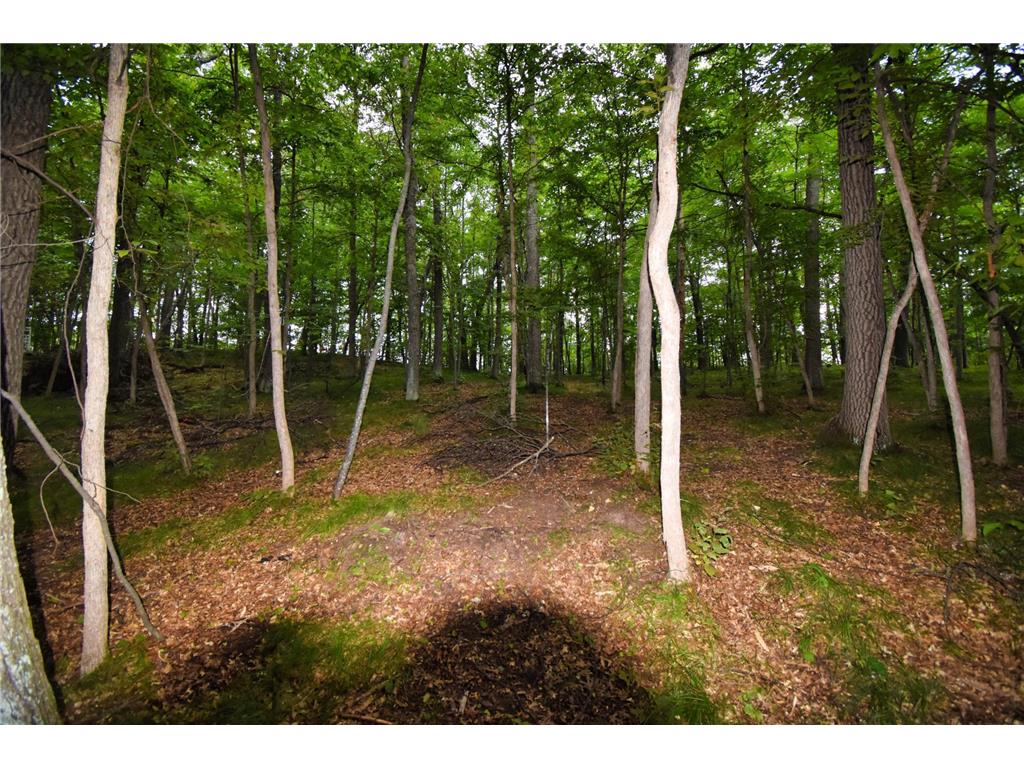 TBD Osceola Circle Breezy Point MN 56472 - Pelican 6591189 image4