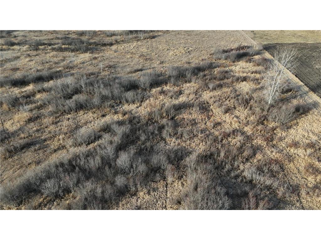 TBD Ose Rd. NW Spruce Grove Twp MN 56727 6819119 image12