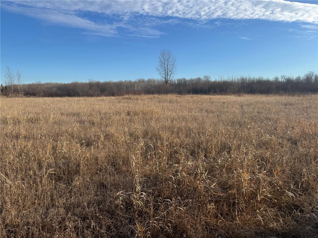 TBD Ose Rd. NW Spruce Grove Twp MN 56727 6819119 image4