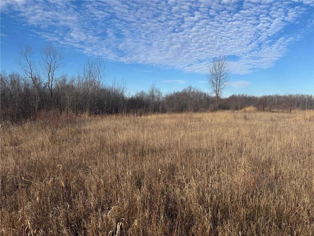 TBD Ose Rd. NW Spruce Grove Twp MN 56727 6819119 image5