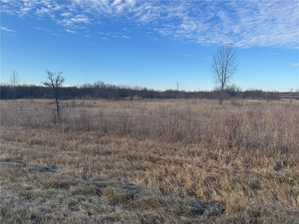 TBD Ose Rd. NW Spruce Grove Twp MN 56727 6819119 image6