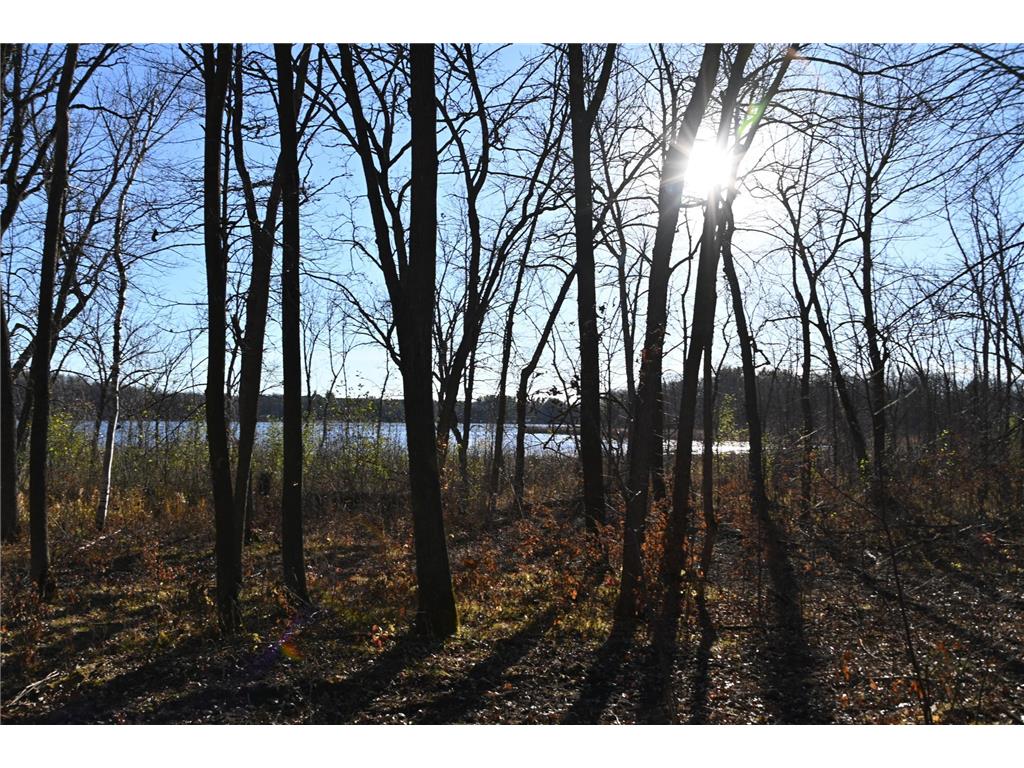 TBD Ottawa Drive Fawn Lake Twp MN 56438 - Turtle Lake 6743203 image10