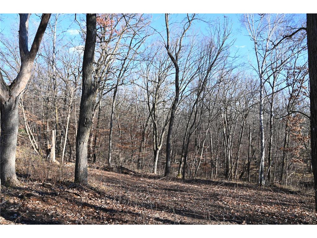 TBD Ottawa Drive Fawn Lake Twp MN 56438 - Turtle Lake 6743203 image11