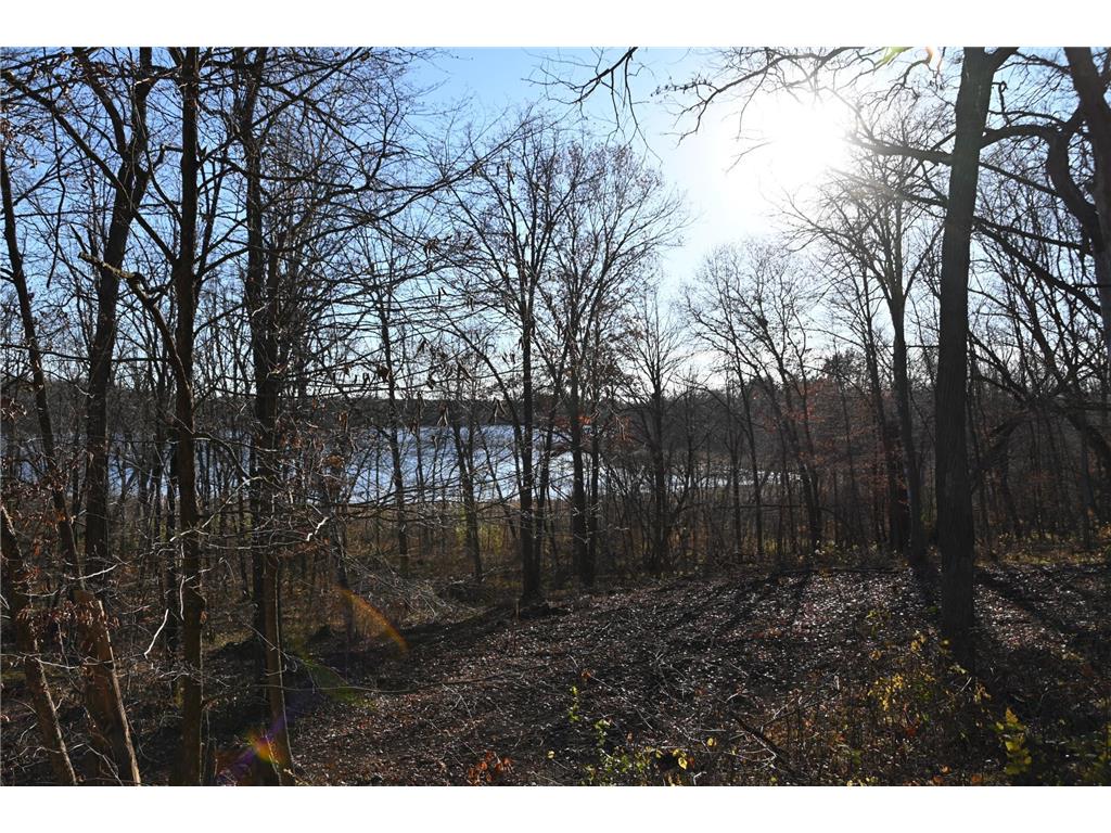 TBD Ottawa Drive Fawn Lake Twp MN 56438 - Turtle Lake 6743203 image12