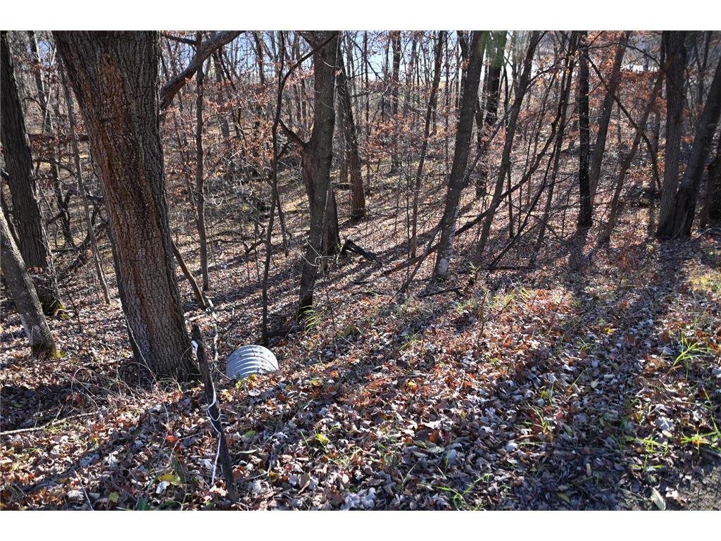 TBD Ottawa Drive Fawn Lake Twp MN 56438 - Turtle Lake 6743203 image14