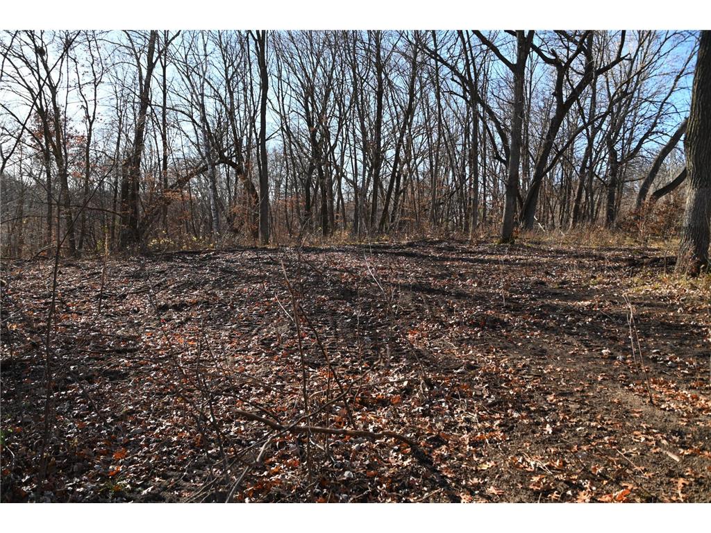 TBD Ottawa Drive Fawn Lake Twp MN 56438 - Turtle Lake 6743203 image15