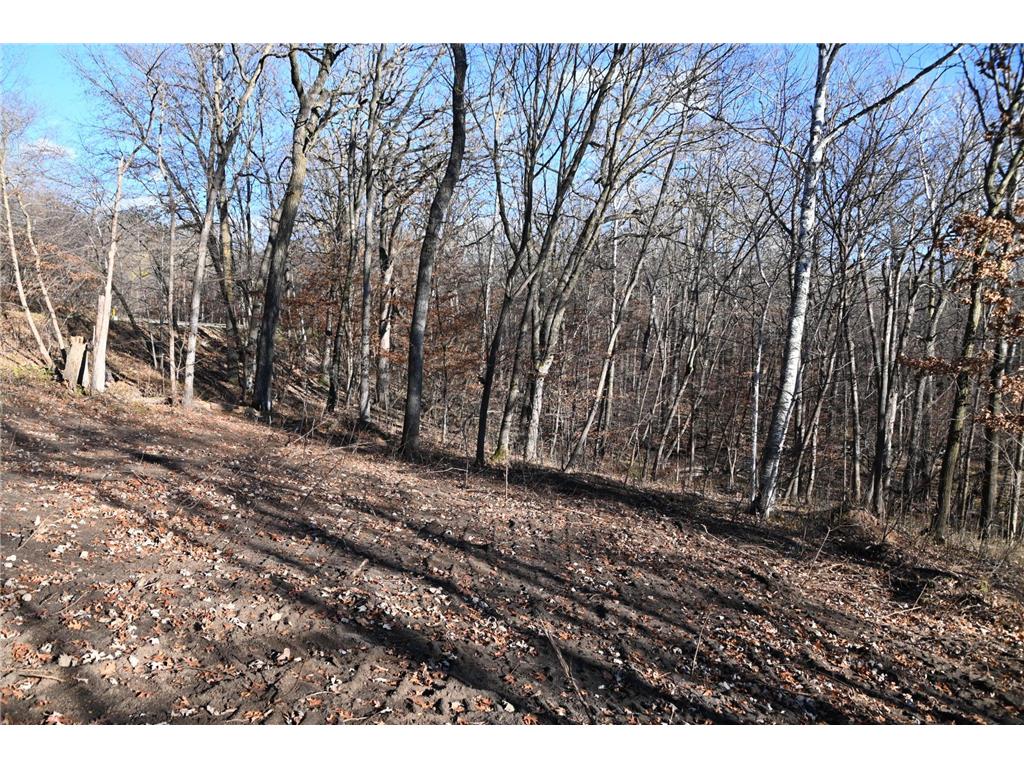 TBD Ottawa Drive Fawn Lake Twp MN 56438 - Turtle Lake 6743203 image16