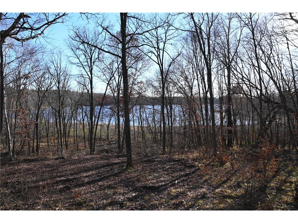 TBD Ottawa Drive Fawn Lake Twp MN 56438 - Turtle Lake 6743203 image2