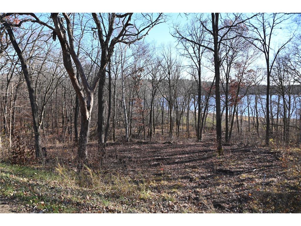 TBD Ottawa Drive Fawn Lake Twp MN 56438 - Turtle Lake 6743203 image3