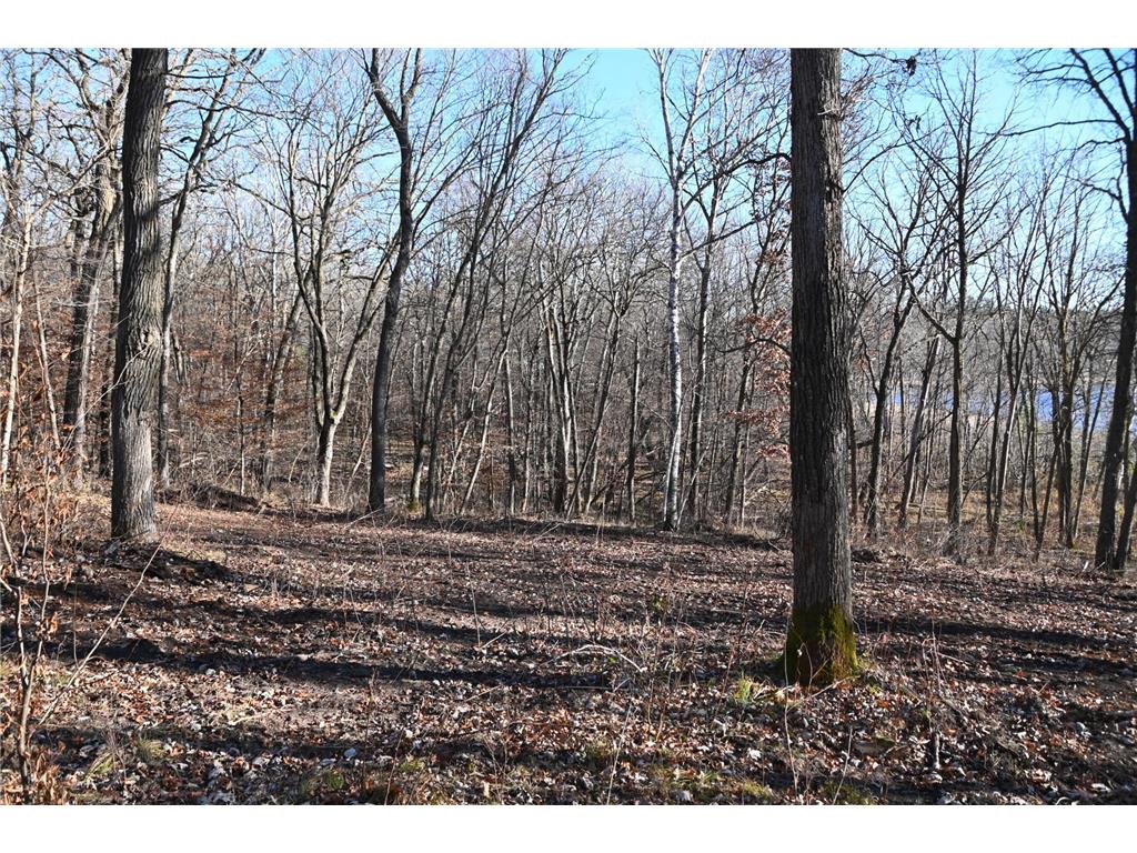 TBD Ottawa Drive Fawn Lake Twp MN 56438 - Turtle Lake 6743203 image4