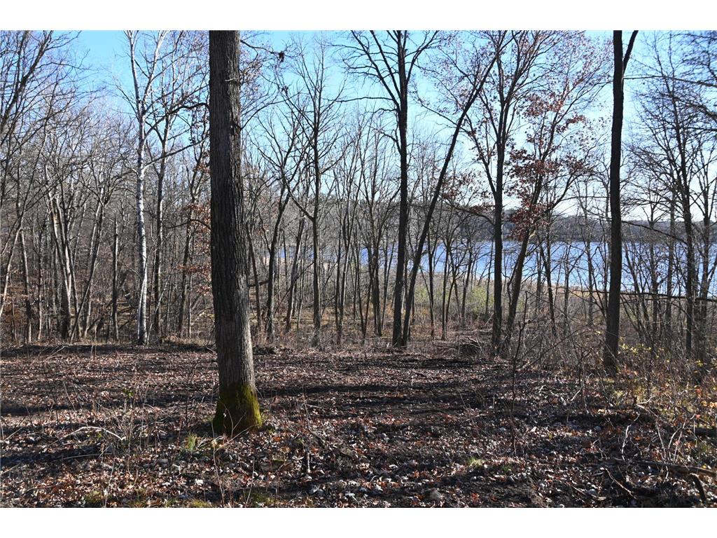 TBD Ottawa Drive Fawn Lake Twp MN 56438 - Turtle Lake 6743203 image5