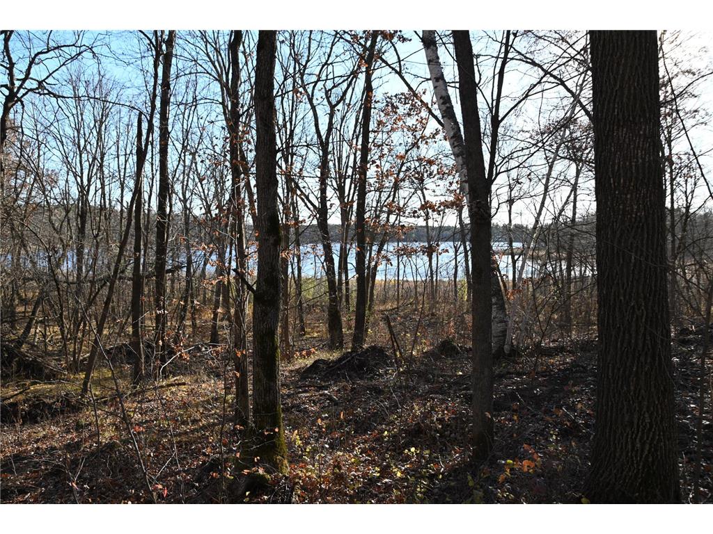 TBD Ottawa Drive Fawn Lake Twp MN 56438 - Turtle Lake 6743203 image8