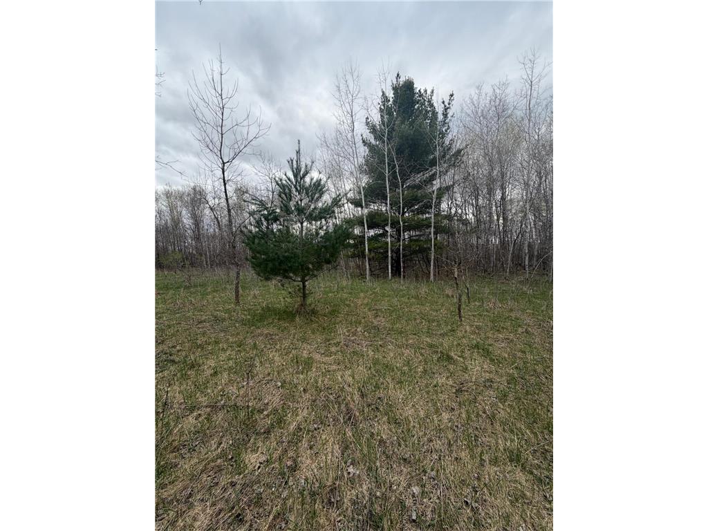 TBD Ottawa Ward Twp MN 56438 7067508 image1