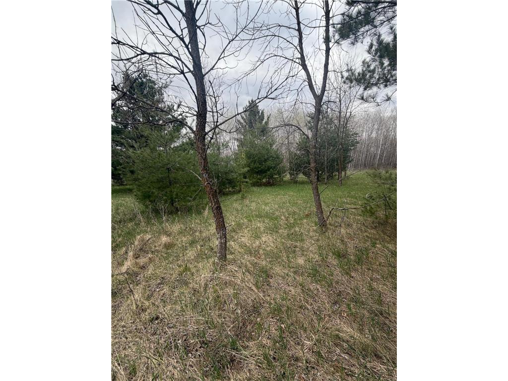 TBD Ottawa Ward Twp MN 56438 7067508 image2