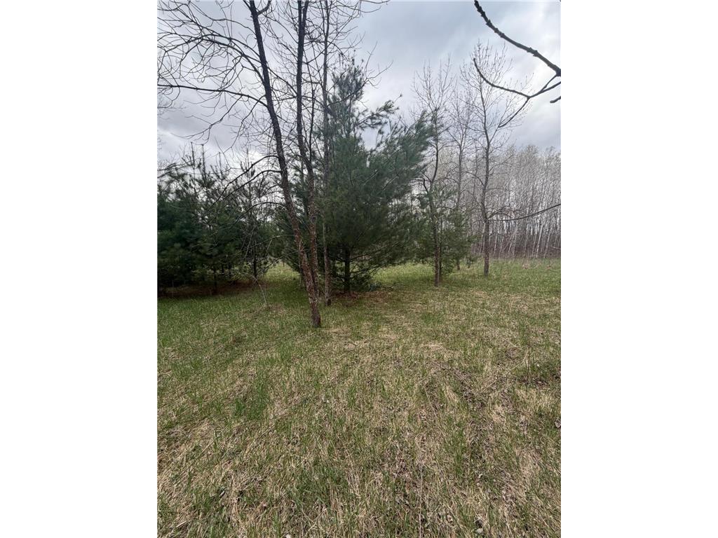 TBD Ottawa Ward Twp MN 56438 7067508 image3