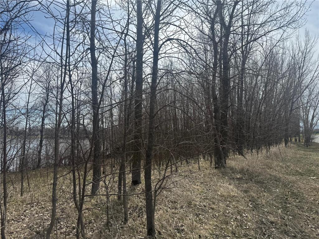 TBD Otter Street SW Hutchinson MN 55350 - Otter 7033693 image16