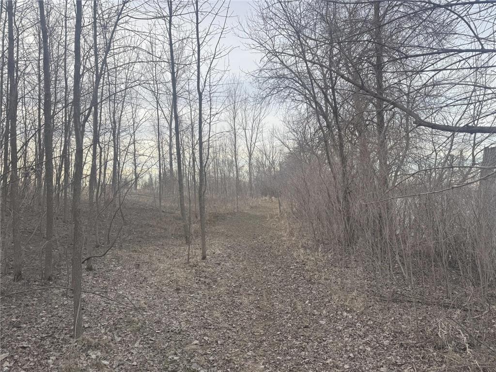 TBD Otter Street SW Hutchinson MN 55350 - Otter 7033693 image22