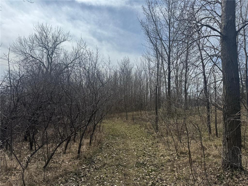 TBD Otter Street SW Hutchinson MN 55350 - Otter 7033693 image29