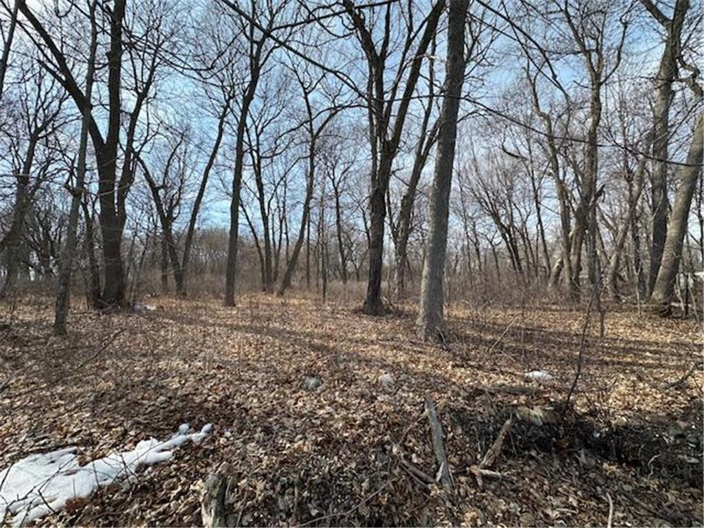 TBD Ottertail Point Drive NW Cass Lake MN 56633 - Leech Lake 7025133 image17