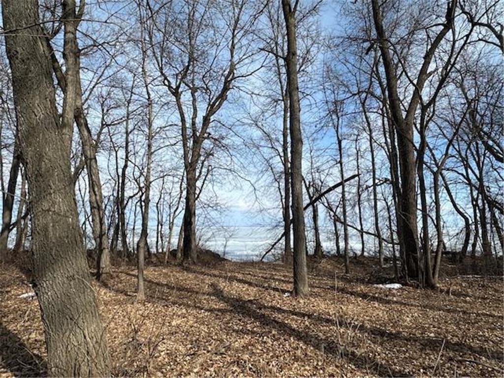 TBD Ottertail Point Drive NW Cass Lake MN 56633 - Leech Lake 7025133 image21