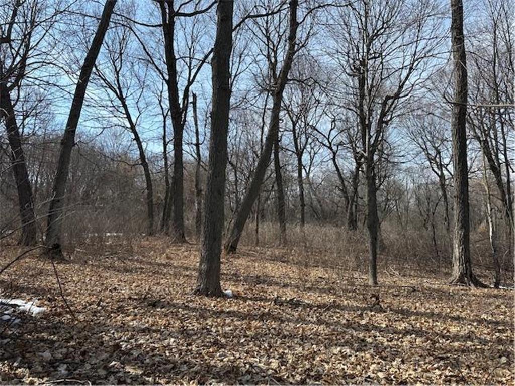 TBD Ottertail Point Drive NW Cass Lake MN 56633 - Leech Lake 7025133 image23