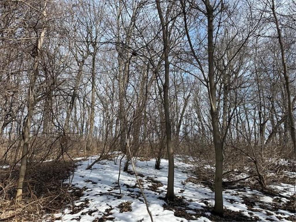 TBD Ottertail Point Drive NW Cass Lake MN 56633 - Leech Lake 7025133 image24