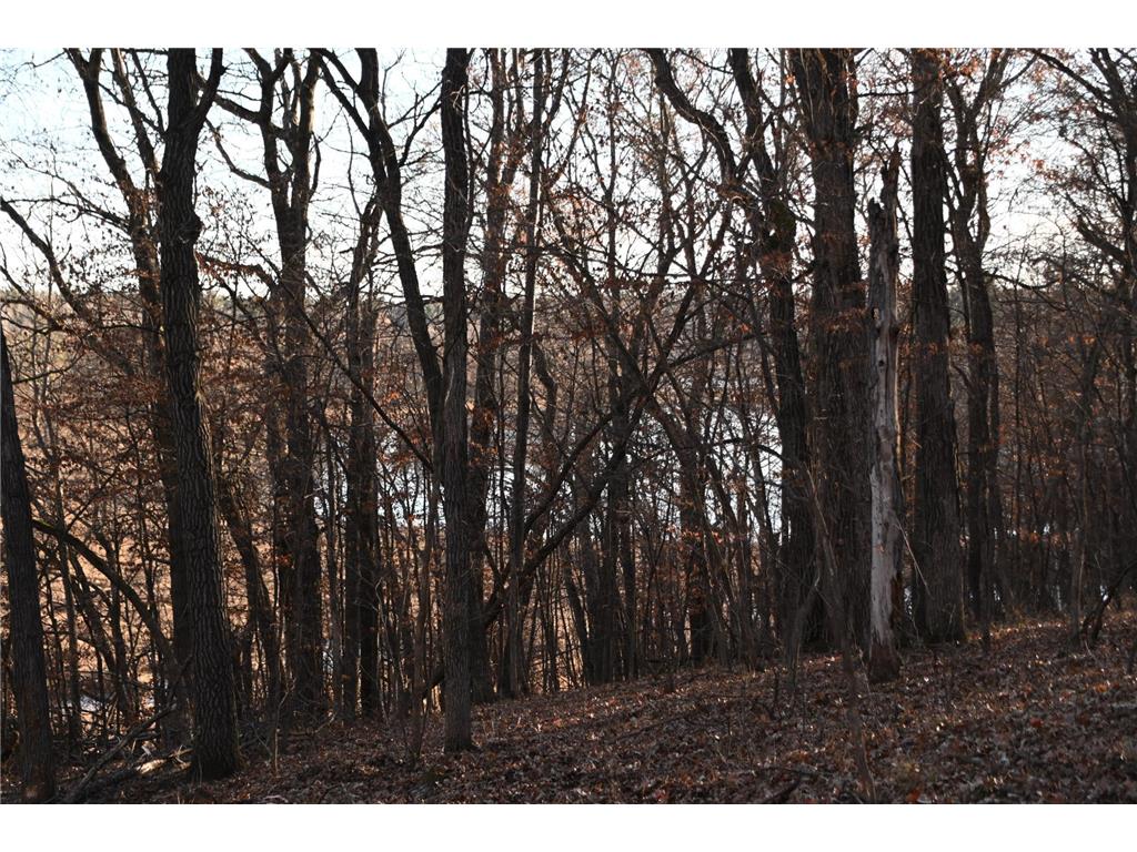 TBD Overland Drive Fawn Lake Twp MN 56438 - Pine Island 6810494 image10