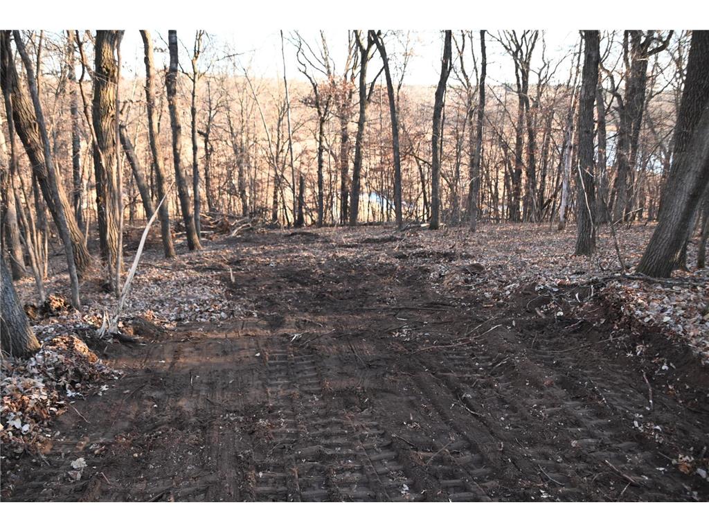 TBD Overland Drive Fawn Lake Twp MN 56438 - Pine Island 6810494 image2