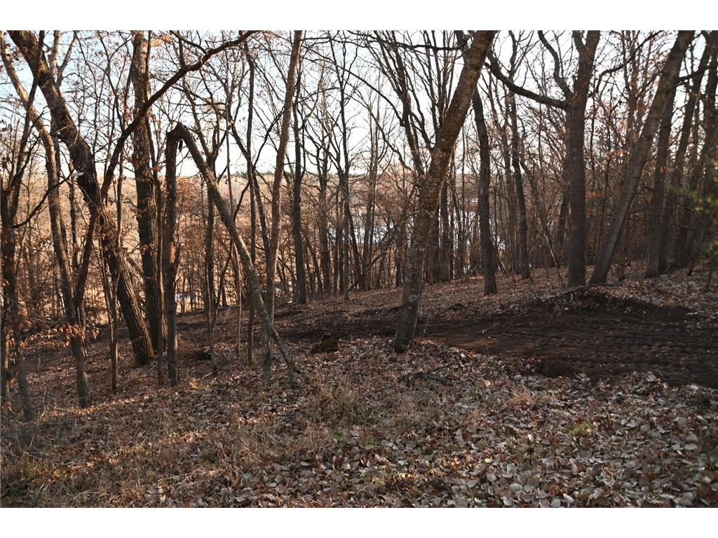 TBD Overland Drive Fawn Lake Twp MN 56438 - Pine Island 6810494 image3