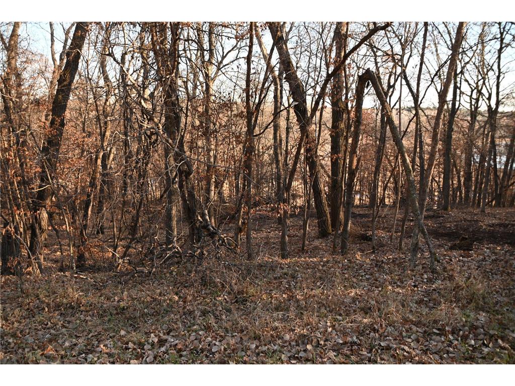 TBD Overland Drive Fawn Lake Twp MN 56438 - Pine Island 6810494 image6