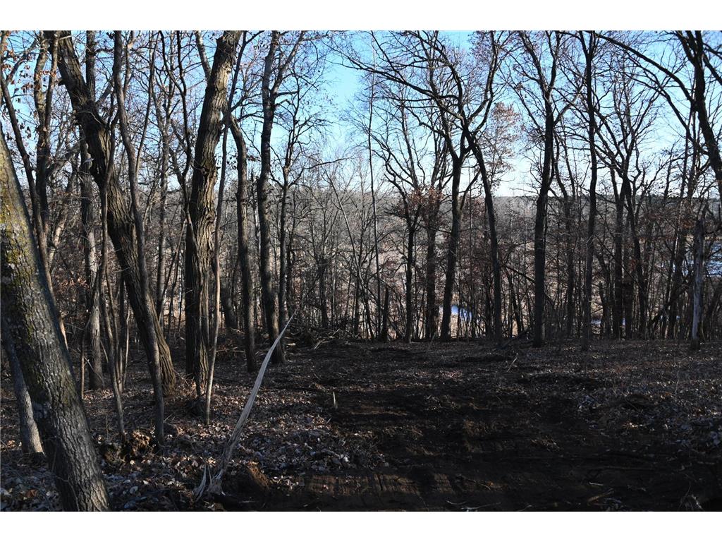 TBD Overland Drive Fawn Lake Twp MN 56438 - Pine Island 6810494 image7