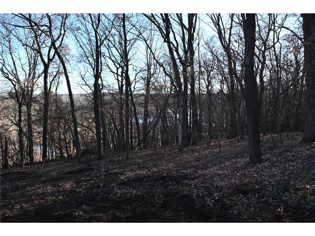 TBD Overland Drive Fawn Lake Twp MN 56438 - Pine Island 6810494 image8