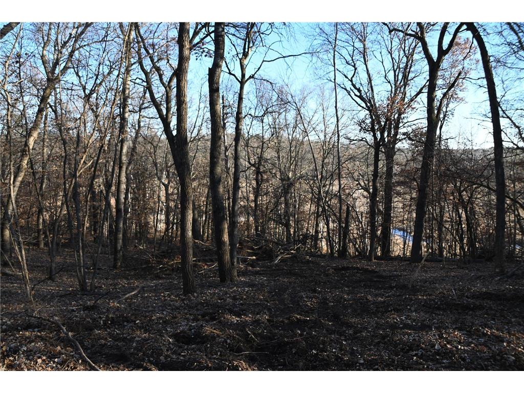 TBD Overland Drive Fawn Lake Twp MN 56438 - Pine Island 6810494 image9