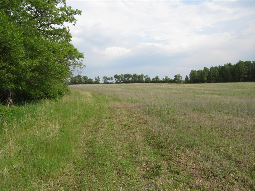 TBD PARCEL 12 32ND AVE SW Backus MN 56435 6734146 image1