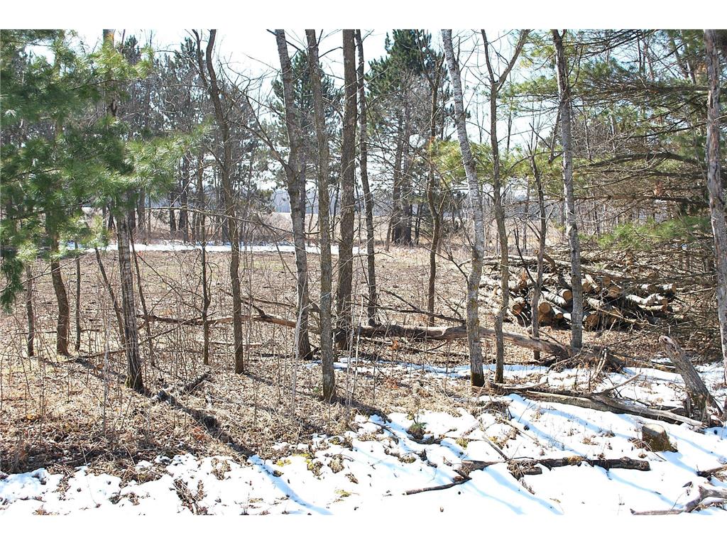 TBD Pacer Drive Fawn Lake Twp MN 56438 - Fawn 7053177 image2