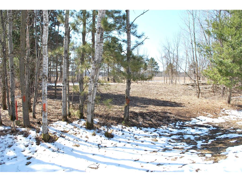 TBD Pacer Drive Fawn Lake Twp MN 56438 - Fawn 7053177 image3