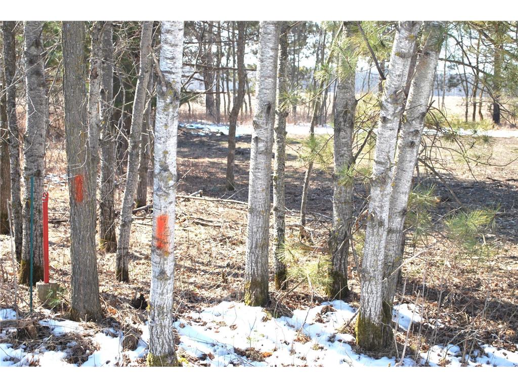 TBD Pacer Drive Fawn Lake Twp MN 56438 - Fawn 7053177 image4