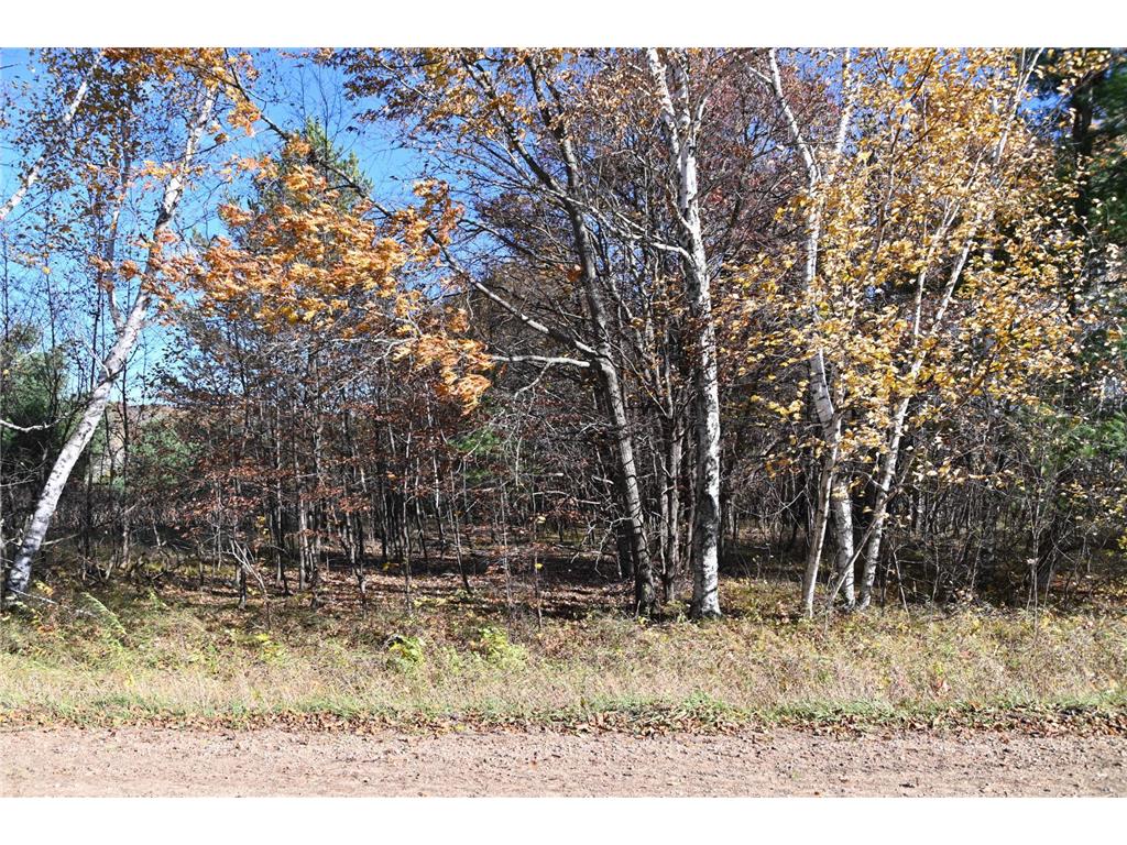 TBD Pacer Loop Fawn Lake Twp MN 56438 7034493 image3
