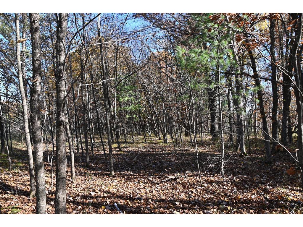 TBD Pacer Loop Fawn Lake Twp MN 56438 7034493 image6