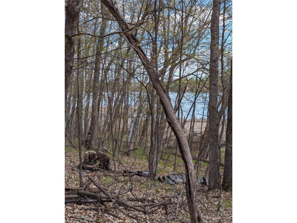 TBD Paradise Drive Fawn Lake Twp MN 56438 - Fawn 7058291 image1