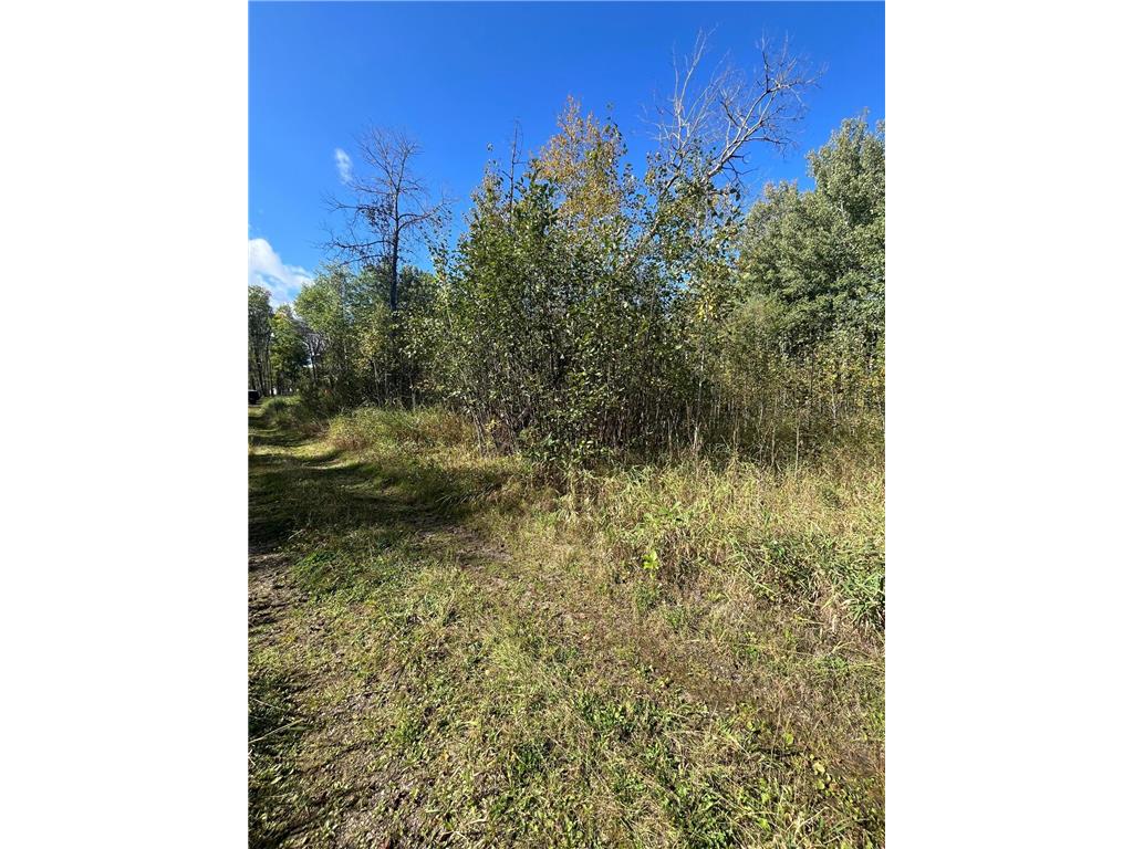 TBD Parcel 1 E Pine Drive Angle Inlet MN 56711 - Pine Creek 7002765 image11