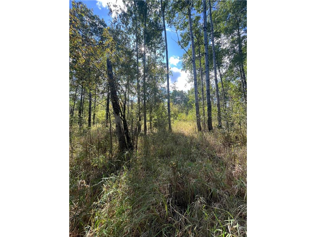 TBD Parcel 1 E Pine Drive Angle Inlet MN 56711 - Pine Creek 7002765 image13