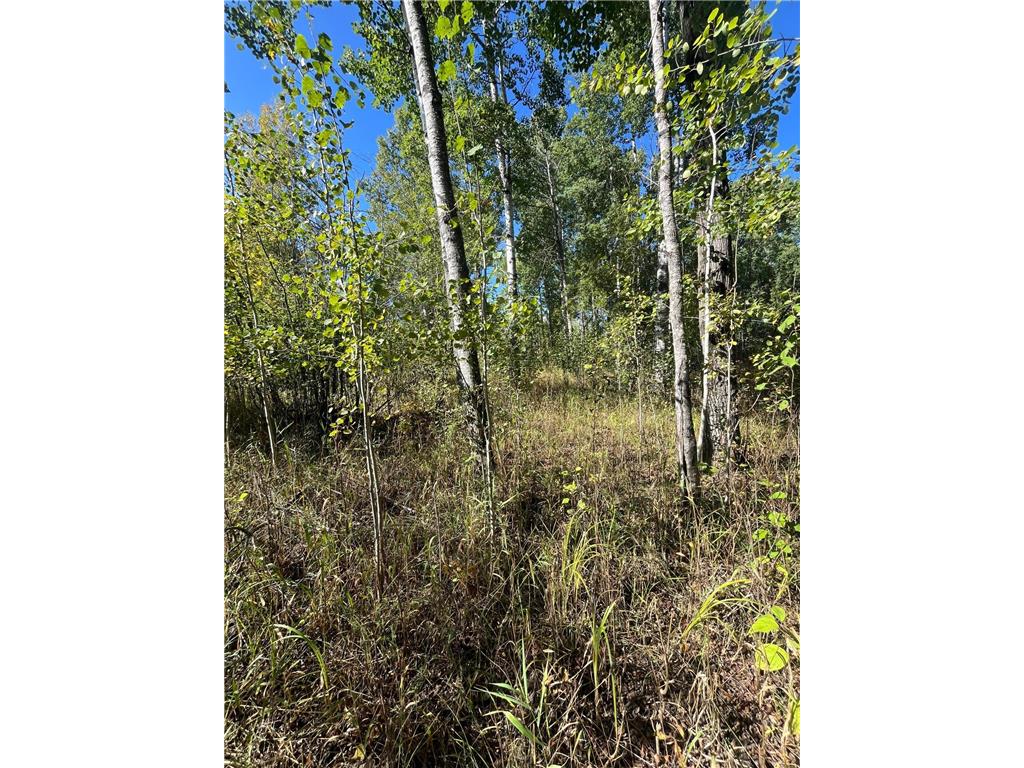 TBD Parcel 1 E Pine Drive Angle Inlet MN 56711 - Pine Creek 7002765 image14