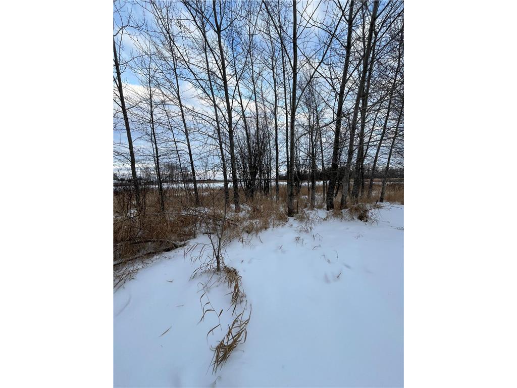 TBD Parcel 1 E Pine Drive Angle Inlet MN 56711 - Pine Creek 7002765 image6