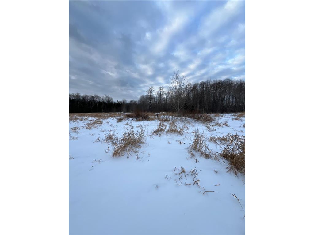 TBD Parcel 1 E Pine Drive Angle Inlet MN 56711 - Pine Creek 7002765 image9